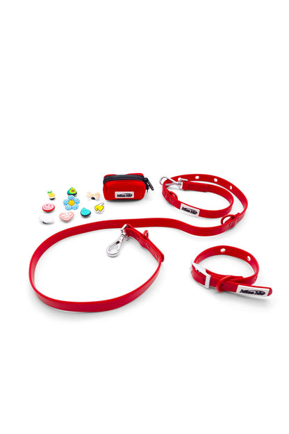 Pet Accessories