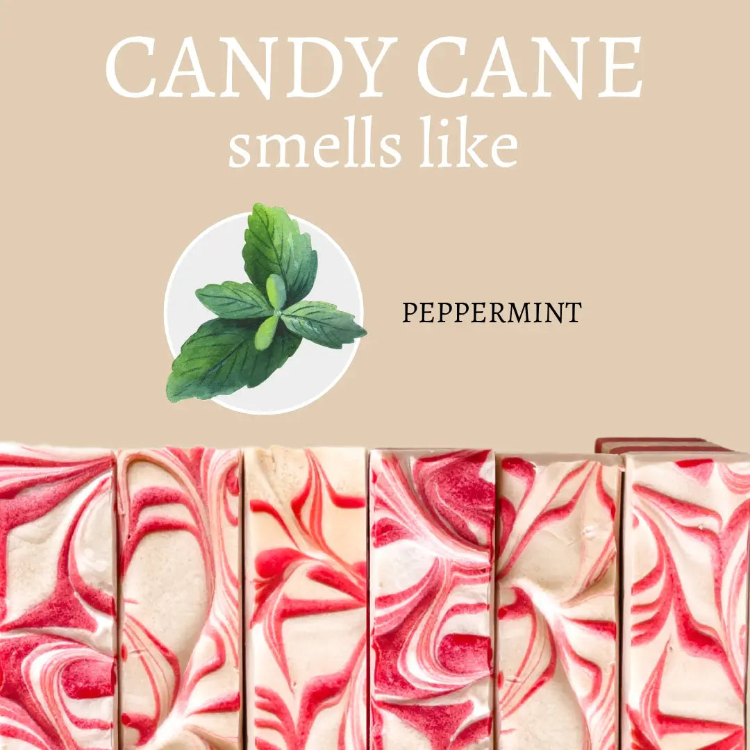 Candy Cane Christmas Handmade Soap Bar
